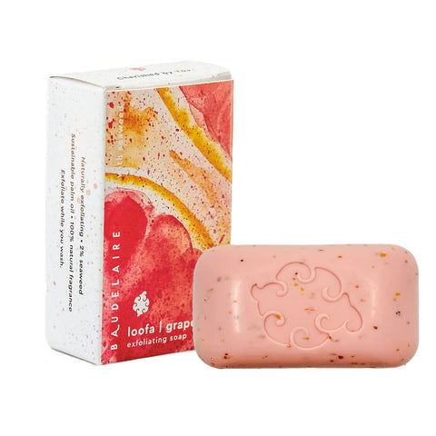 Loofa Exfoliating Soap